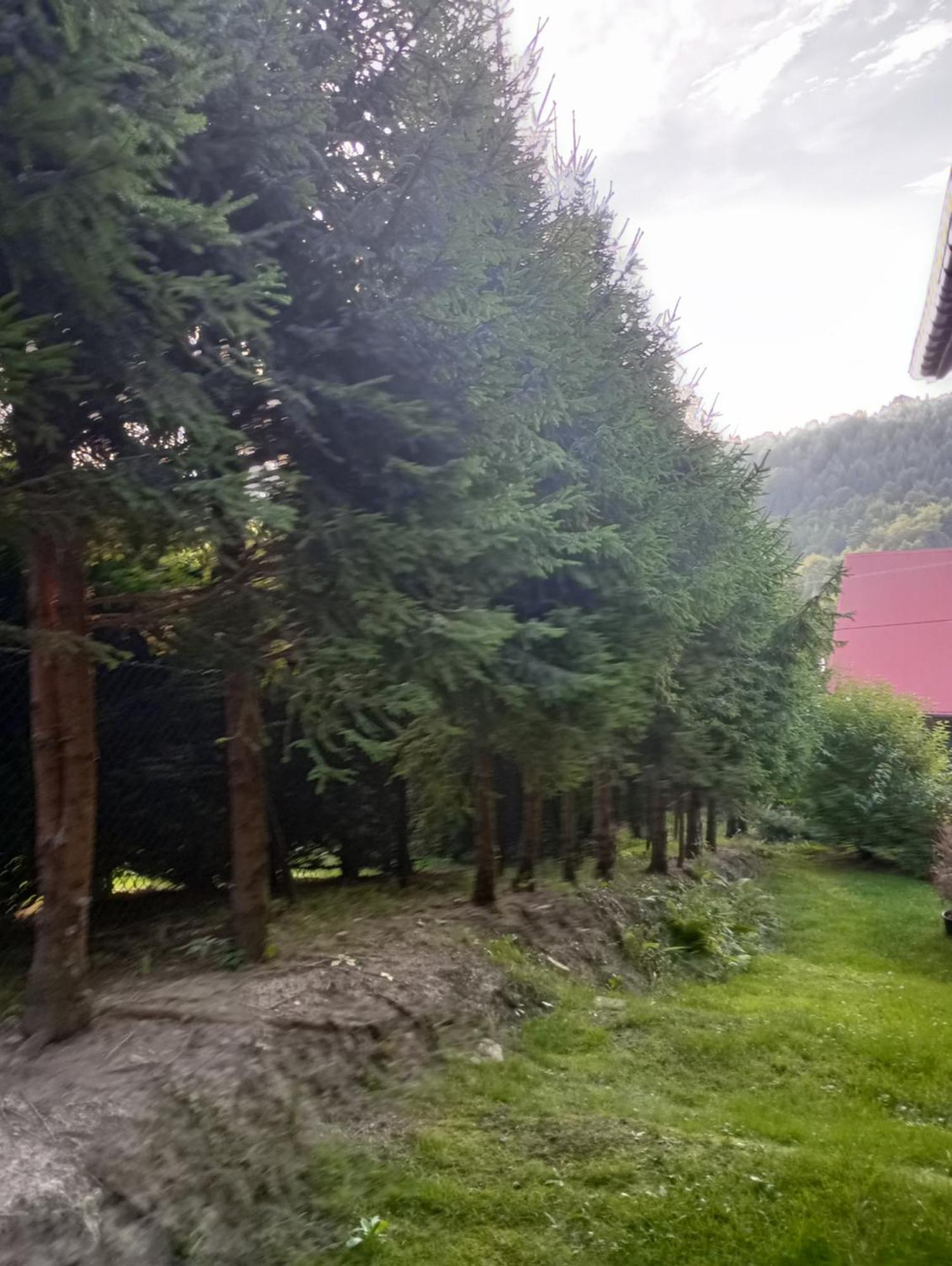 Domek Caloroczny Brenna Bagian luar foto